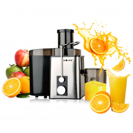 copy of WYCISKARKA DO SOKÓW / SOKOWIRÓWKA SREBRNA