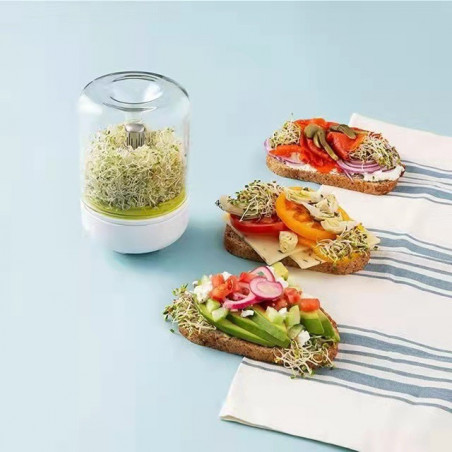 KIEŁKOWNICA SŁOIKOWA NACZYNIE NA NASIONA KIEŁKI POJEMNIK SZKLARNIA KIEŁKÓW