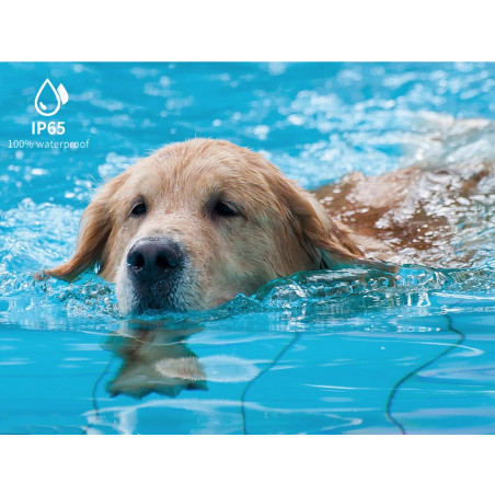 ELEKTRYCZNA OBROŻA PSA DLA DWÓCH PSÓW TRENINGOWA DO TRENINGU TRESURY PILOT